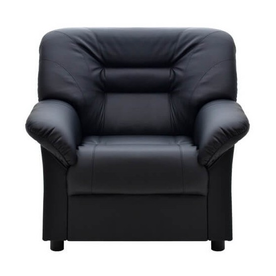 картинка Кресло-кровать Премьер (V-100) от Мебельная мода, фото: 1
